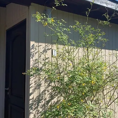Cabañas del Este Sauce de Portezuelo Exterior foto